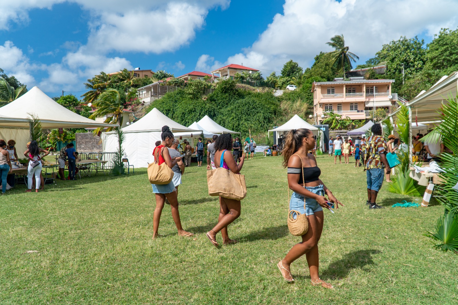 Caribbean Immersion — photo 2